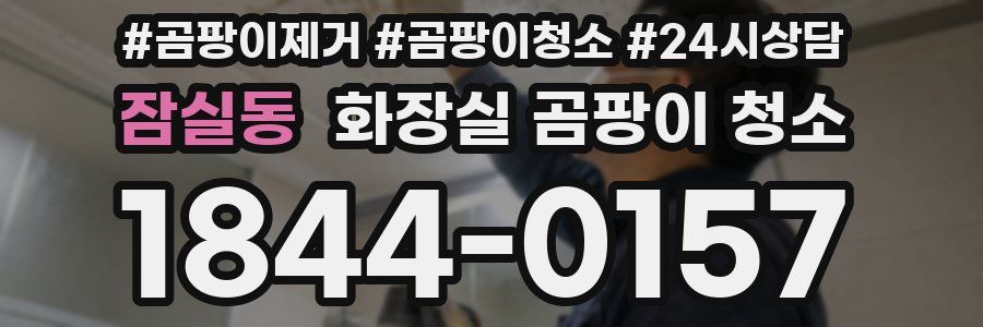 잠실동 화장실 곰팡이 청소