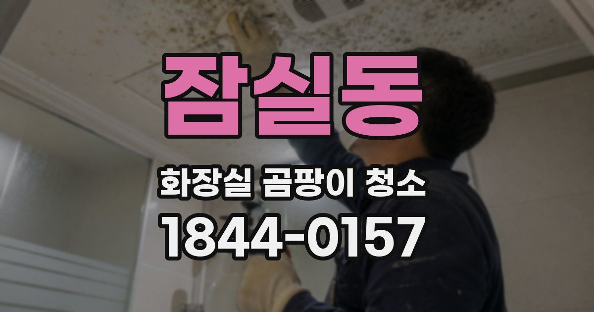 잠실동 화장실 곰팡이 청소