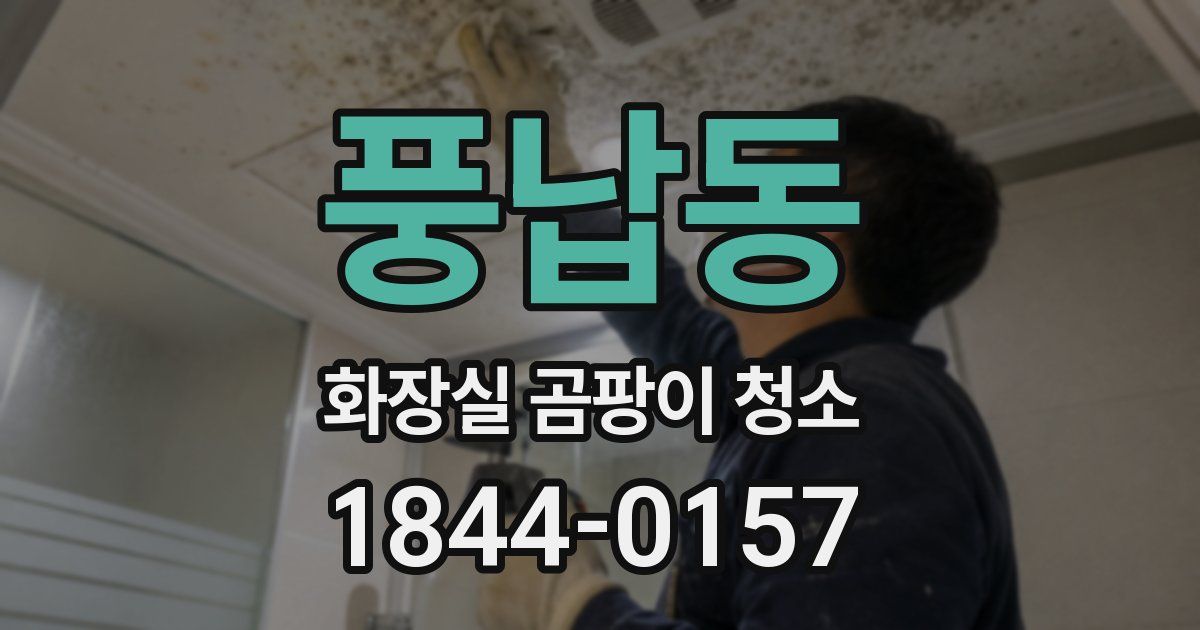 풍납동 화장실 곰팡이 청소