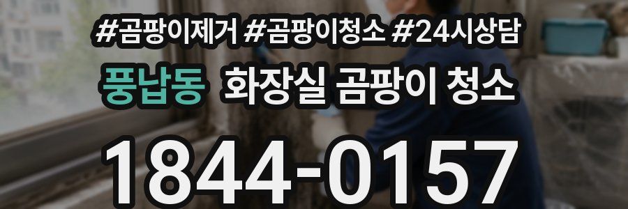 풍납동 화장실 곰팡이 청소