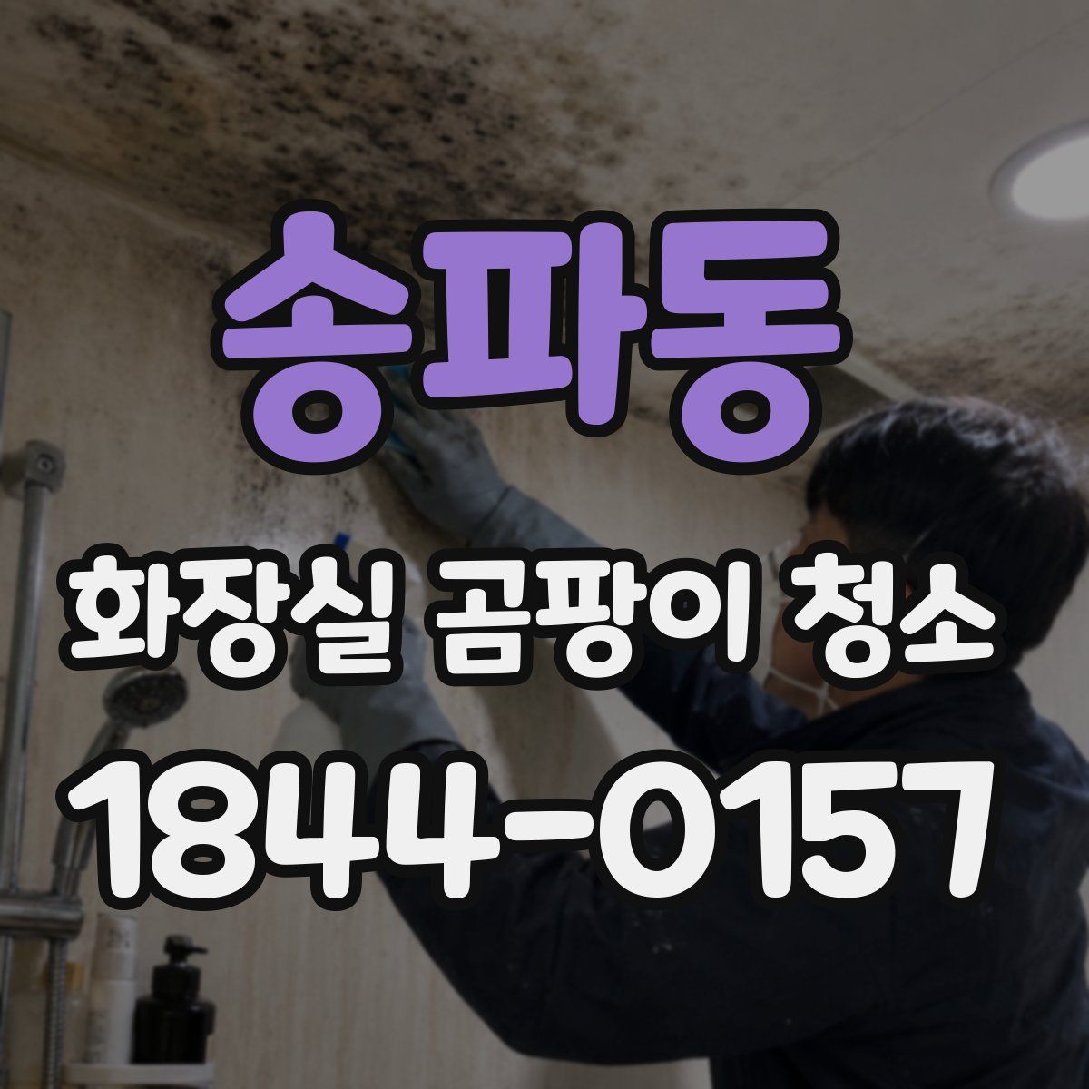 송파동 화장실 곰팡이 청소
