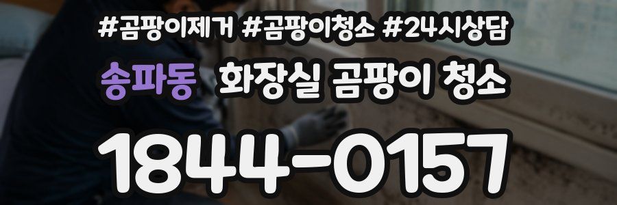 송파동 화장실 곰팡이 청소