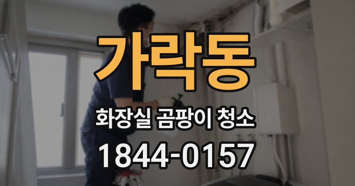 가락동 화장실 곰팡이 청소