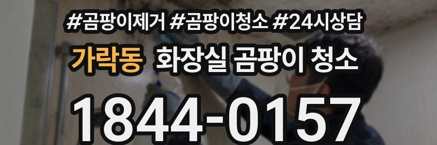 가락동 화장실 곰팡이 청소