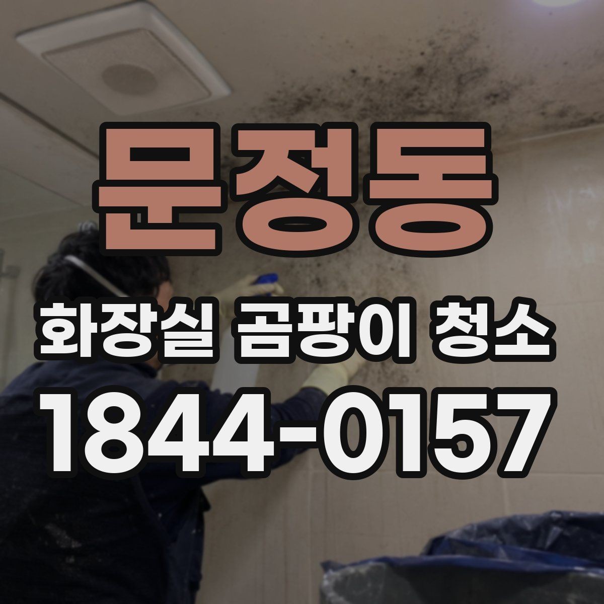 문정동 화장실 곰팡이 청소 세정제 선택 기준과 사용 순서 정리