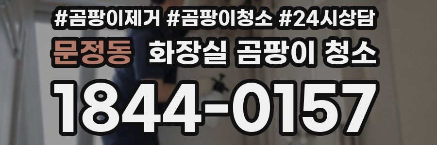 문정동 화장실 곰팡이 청소