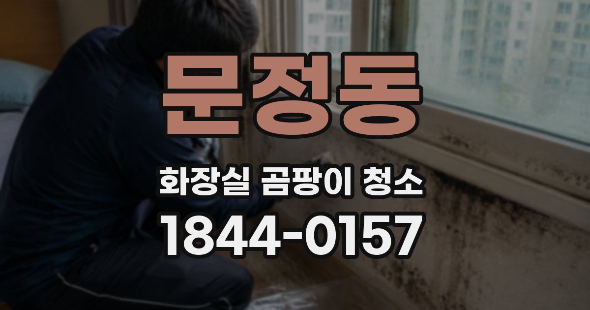문정동 화장실 곰팡이 청소