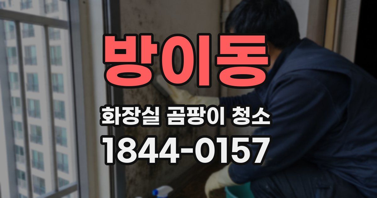 방이동 화장실 곰팡이 청소