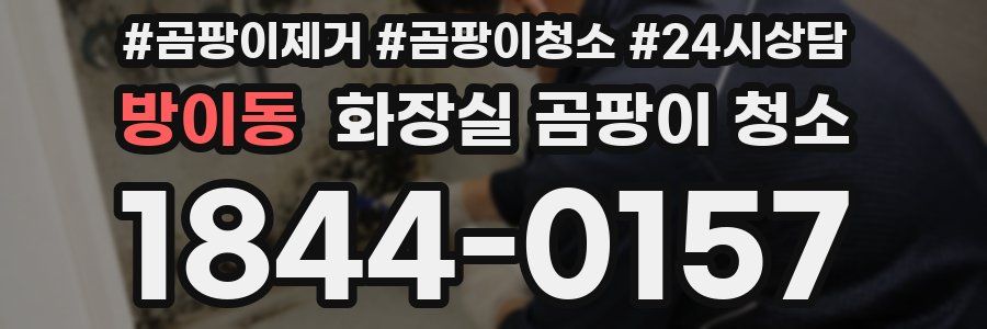 방이동 화장실 곰팡이 청소