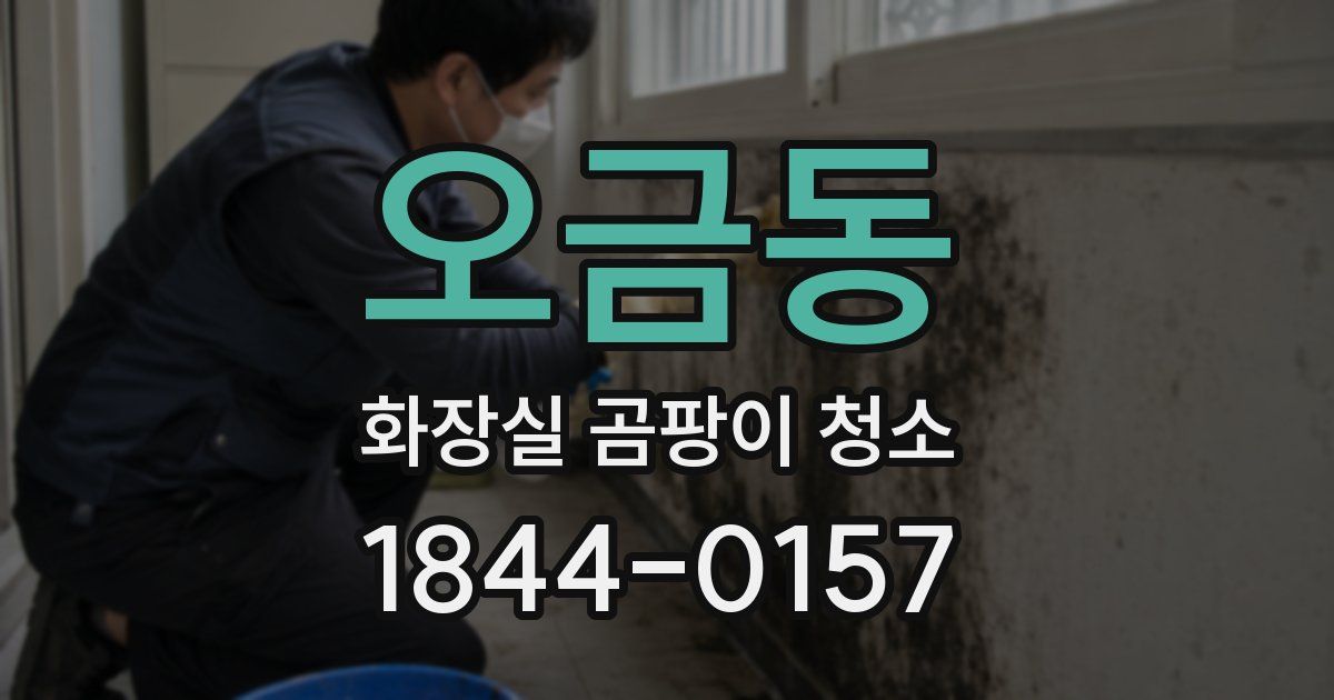 오금동 화장실 곰팡이 청소