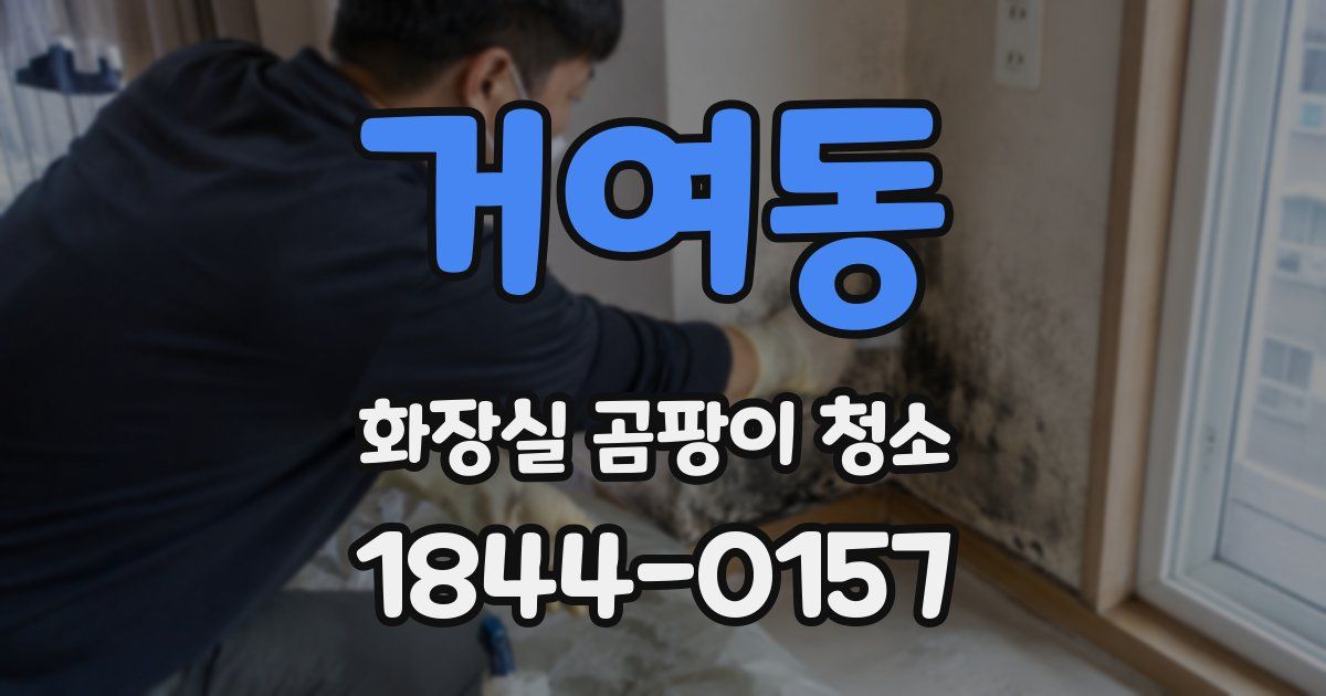 거여동 화장실 곰팡이 청소