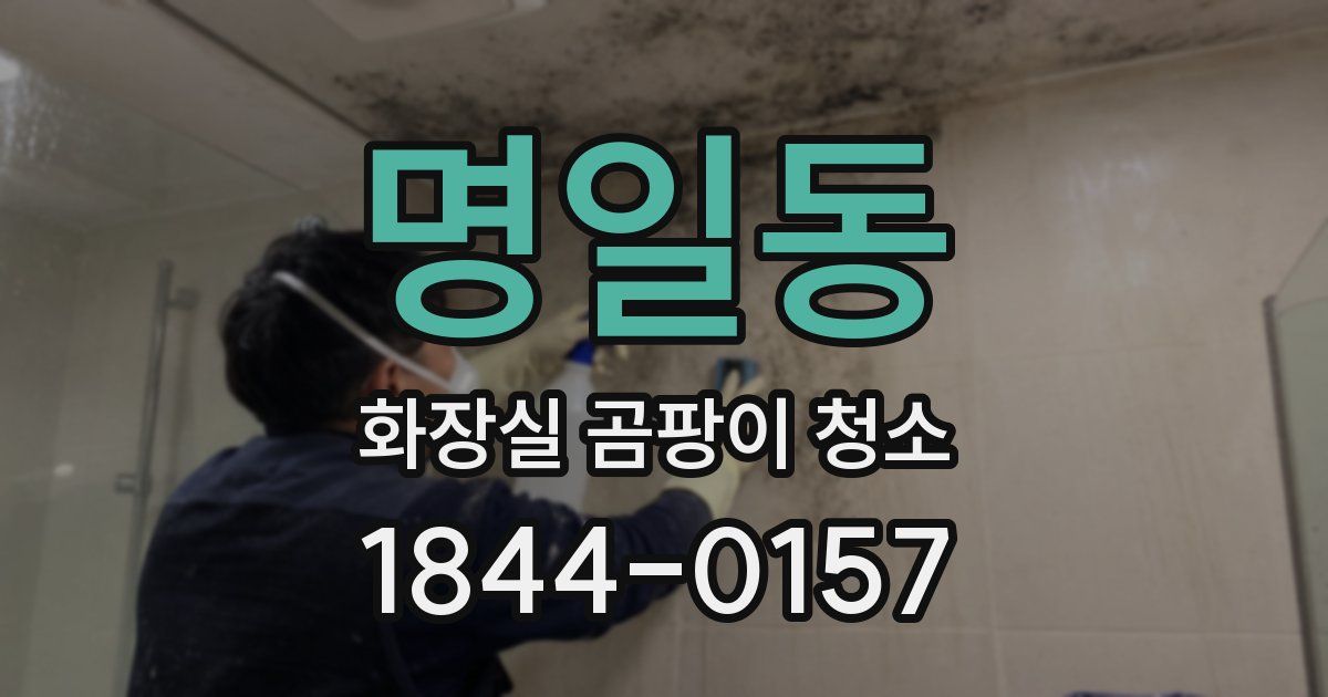 명일동 화장실 곰팡이 청소