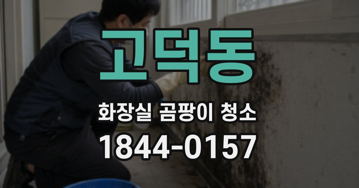 고덕동 화장실 곰팡이 청소