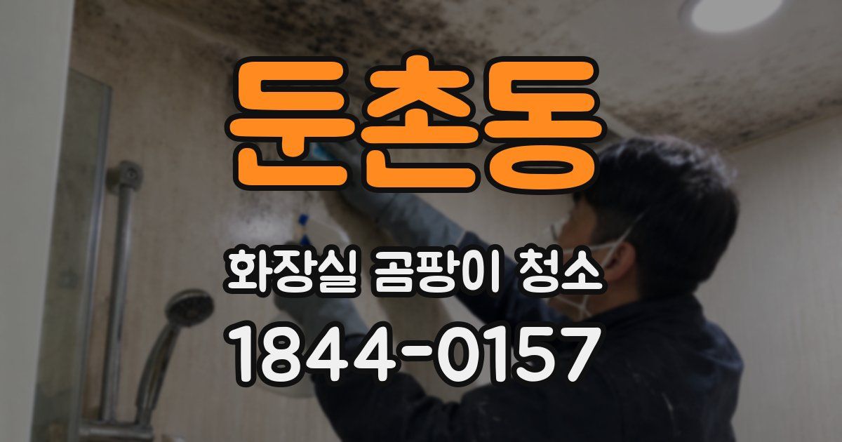 둔촌동 화장실 곰팡이 청소