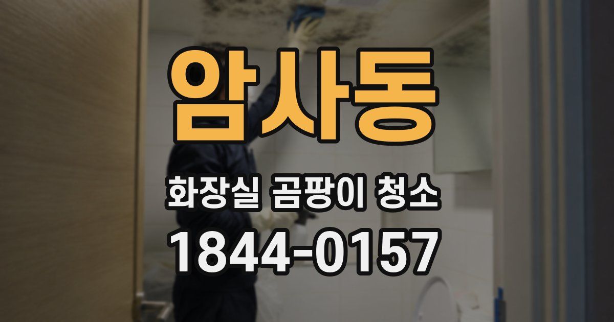 암사동 화장실 곰팡이 청소