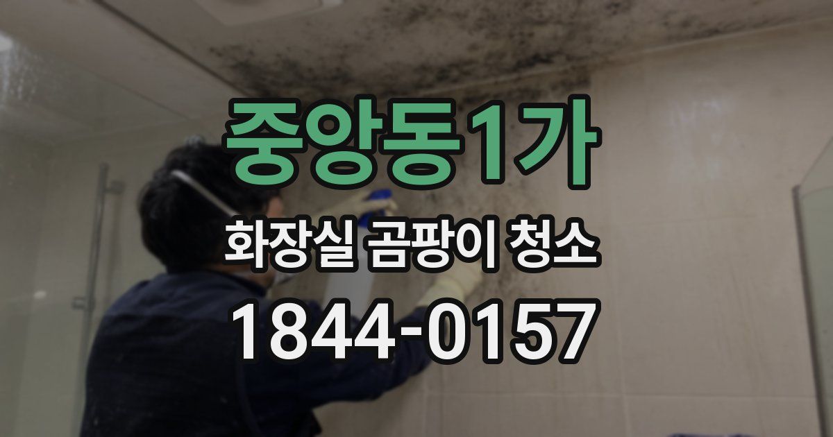중앙동1가 화장실 곰팡이 청소