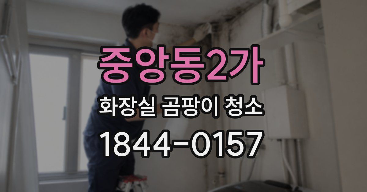 중앙동2가 화장실 곰팡이 청소
