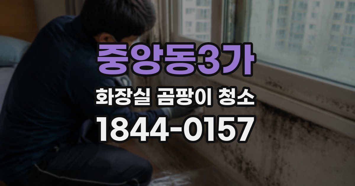 중앙동3가 화장실 곰팡이 청소