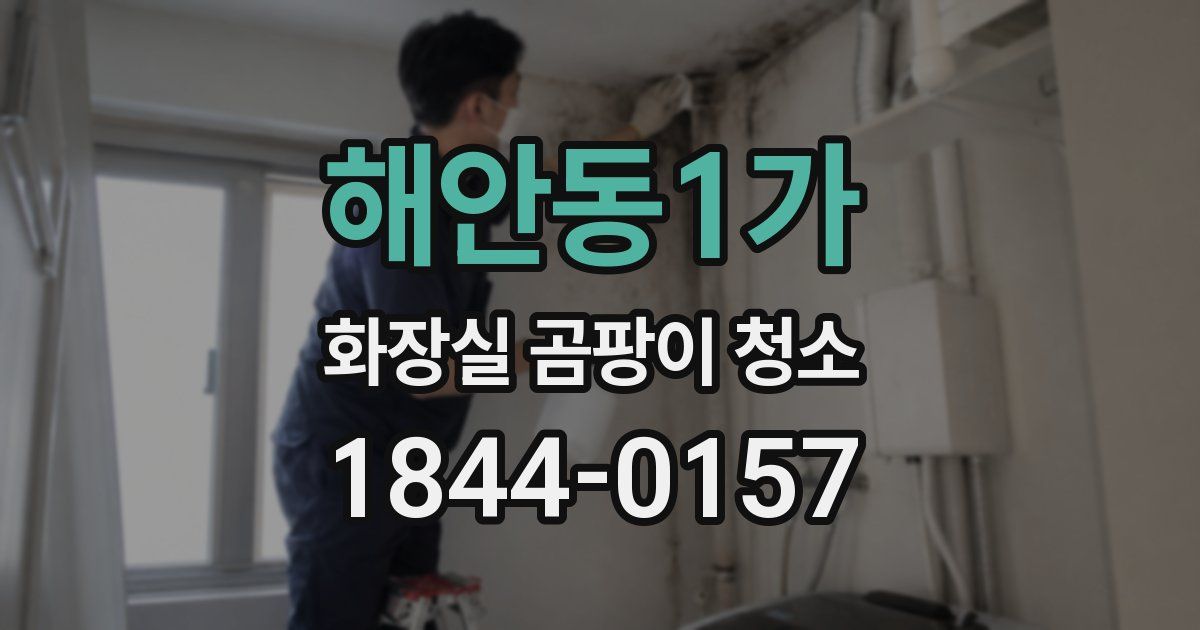 해안동1가 화장실 곰팡이 청소