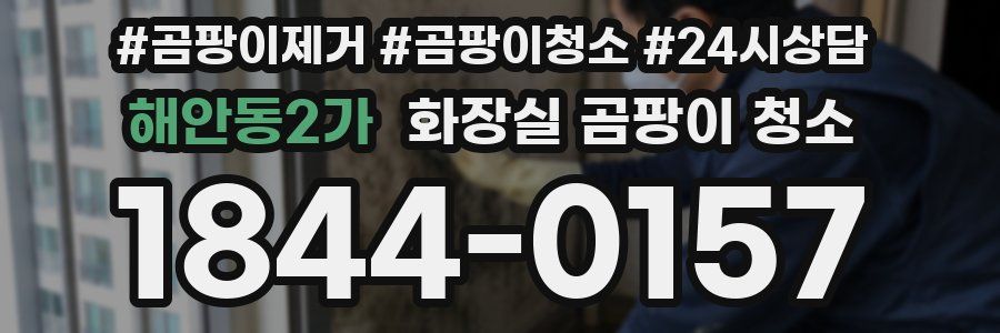 해안동2가 화장실 곰팡이 청소