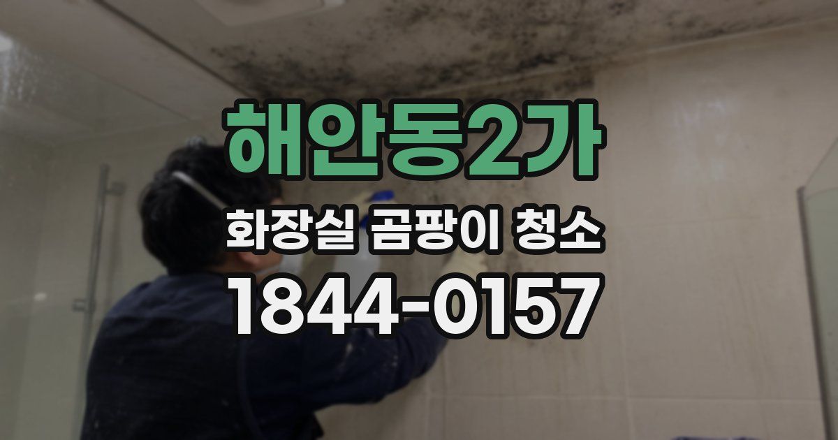 해안동2가 화장실 곰팡이 청소