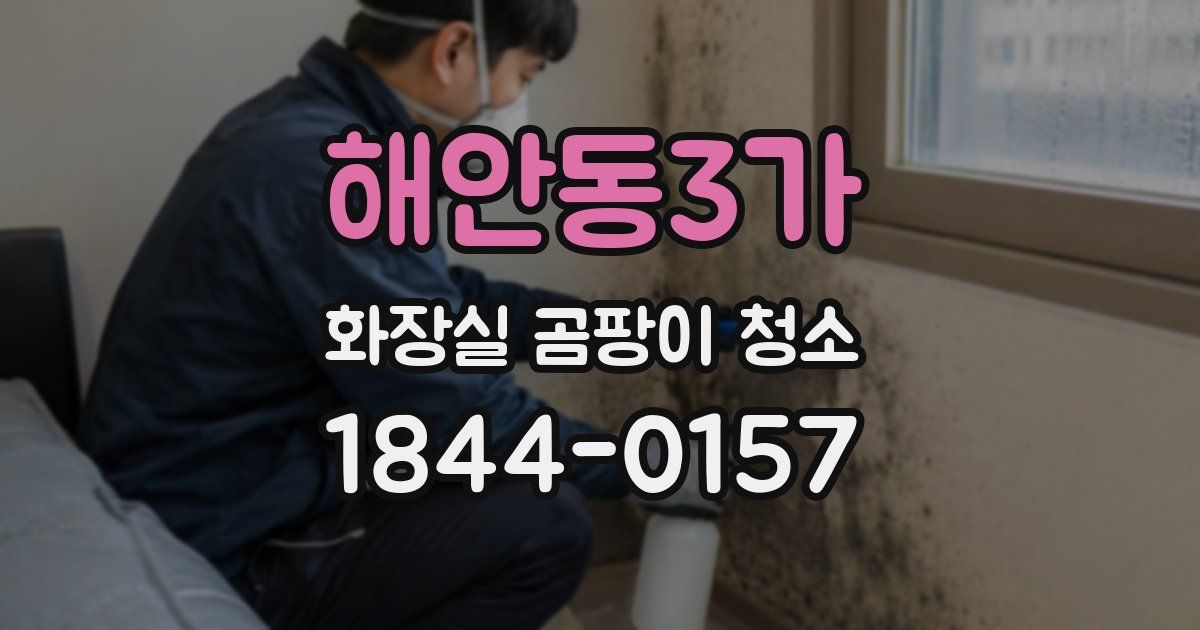 해안동3가 화장실 곰팡이 청소