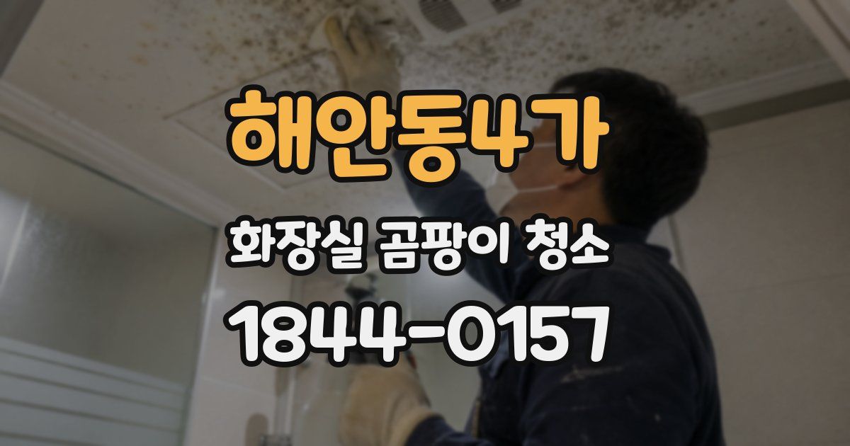 해안동4가 화장실 곰팡이 청소