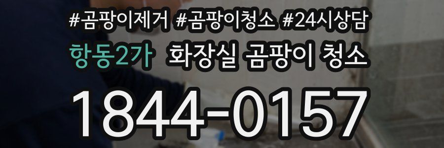 항동2가 화장실 곰팡이 청소