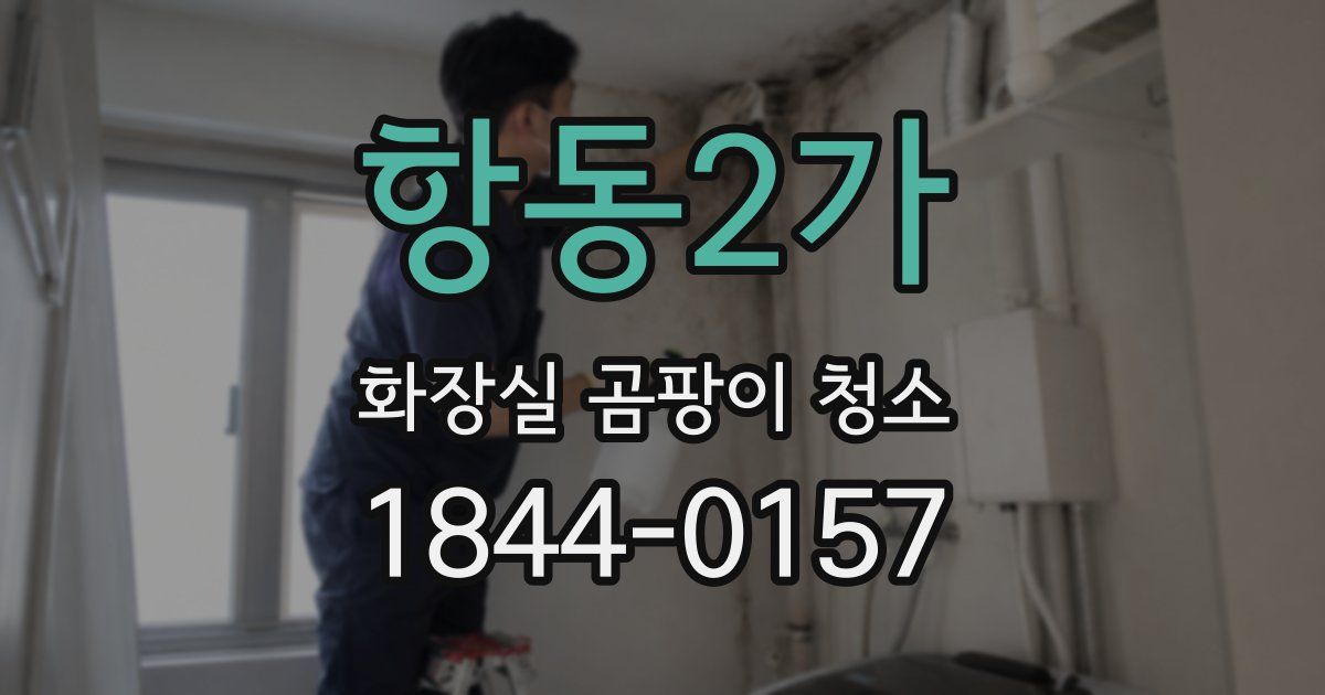 항동2가 화장실 곰팡이 청소