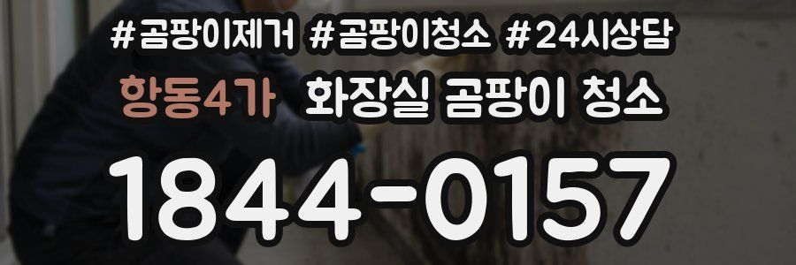 항동4가 화장실 곰팡이 청소