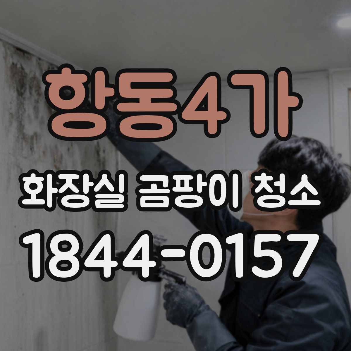 항동4가 화장실 곰팡이 청소