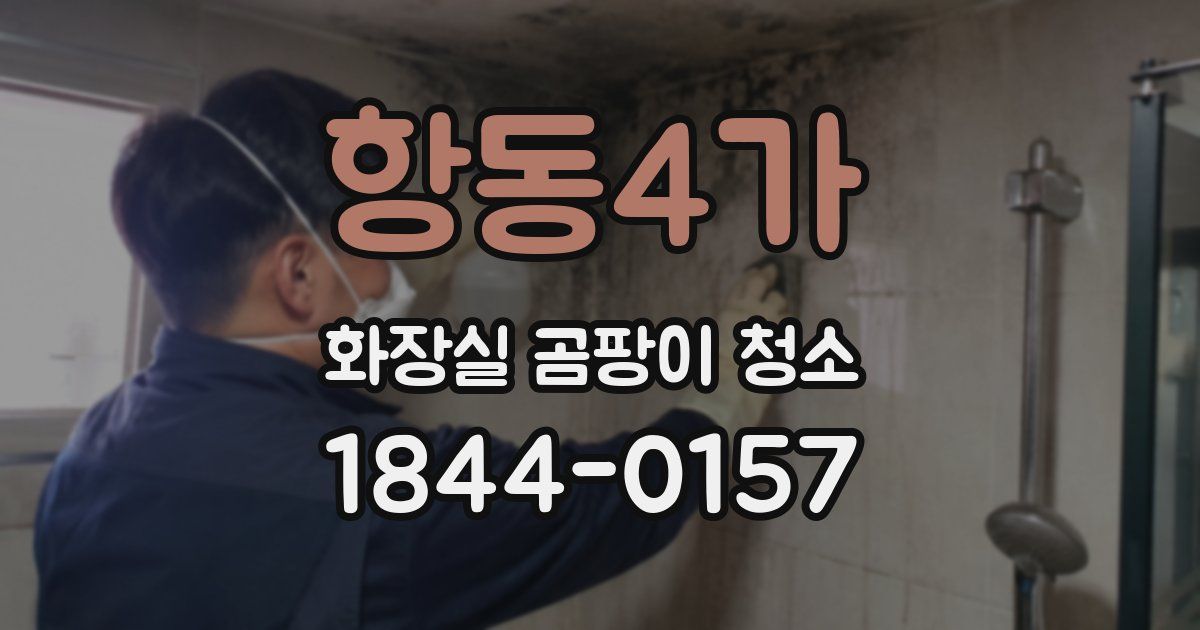 항동4가 화장실 곰팡이 청소