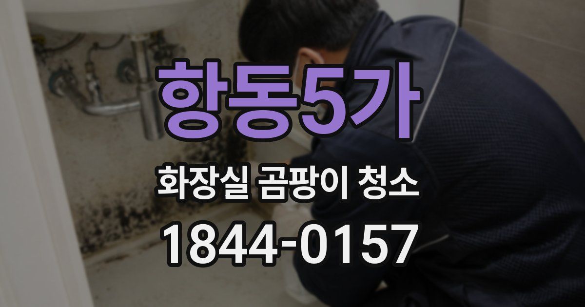 항동5가 화장실 곰팡이 청소