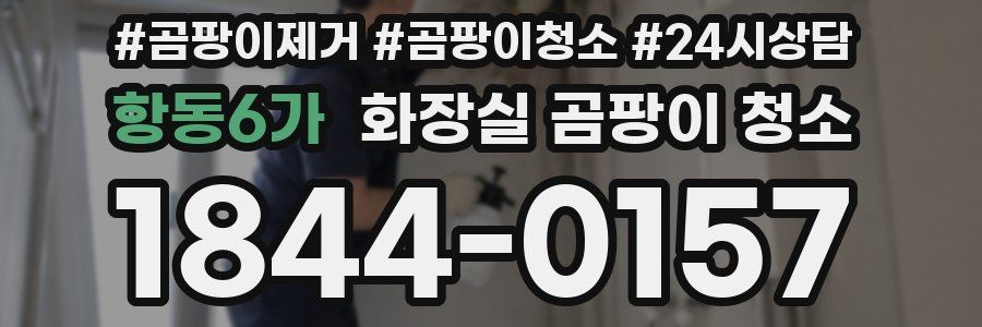 항동6가 화장실 곰팡이 청소