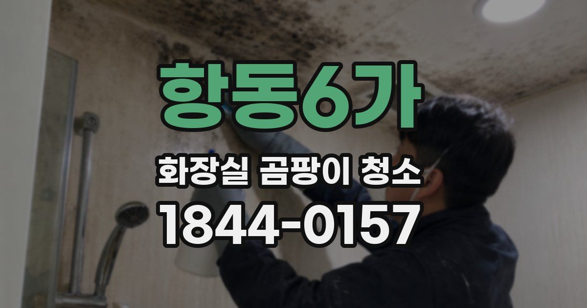 항동6가 화장실 곰팡이 청소