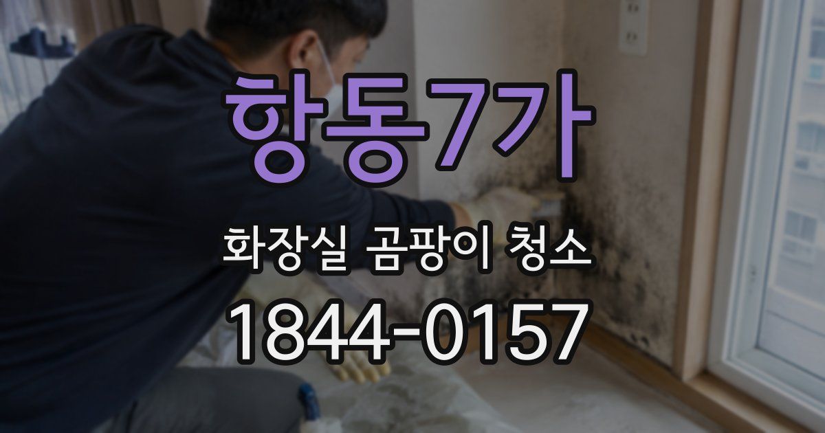 항동7가 화장실 곰팡이 청소