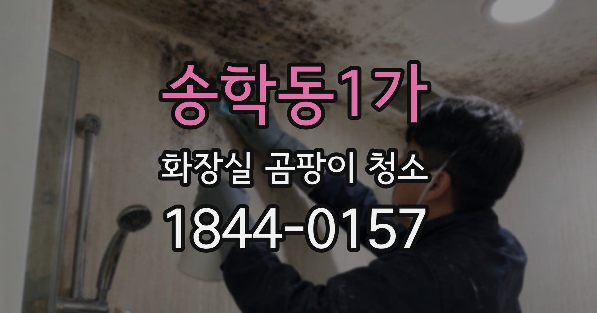 송학동1가 화장실 곰팡이 청소