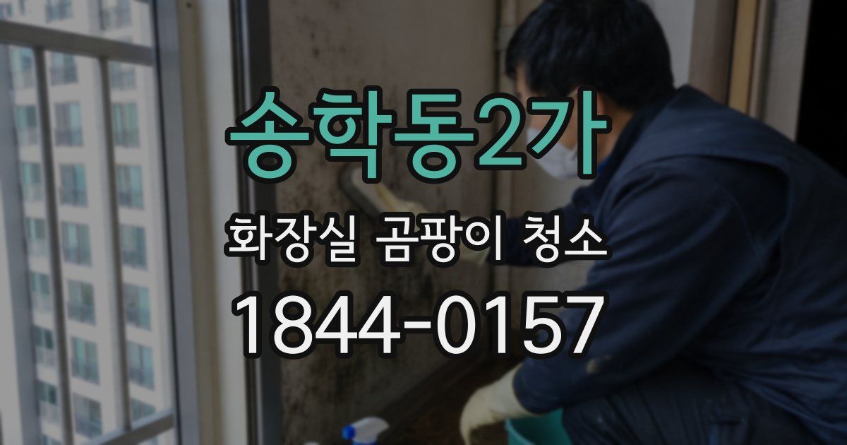 송학동2가 화장실 곰팡이 청소