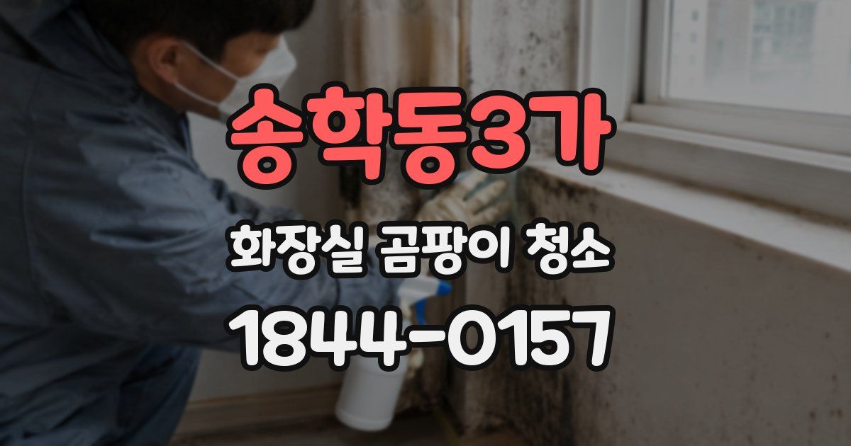 송학동3가 화장실 곰팡이 청소