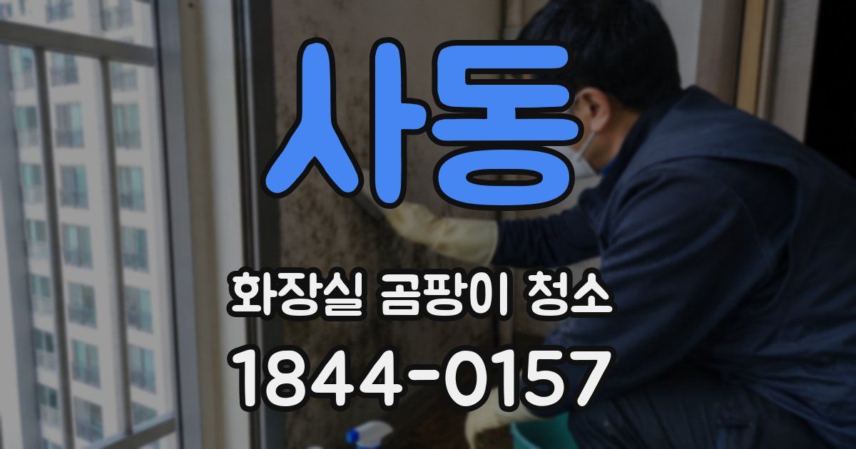 사동 화장실 곰팡이 청소