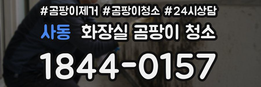 사동 화장실 곰팡이 청소