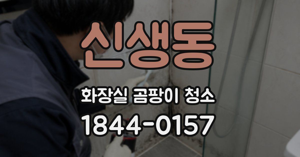 신생동 화장실 곰팡이 청소