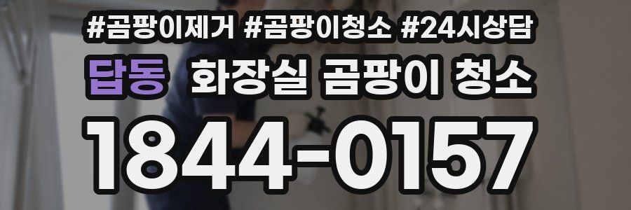 답동 화장실 곰팡이 청소
