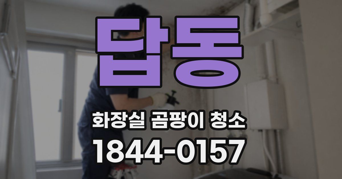 답동 화장실 곰팡이 청소