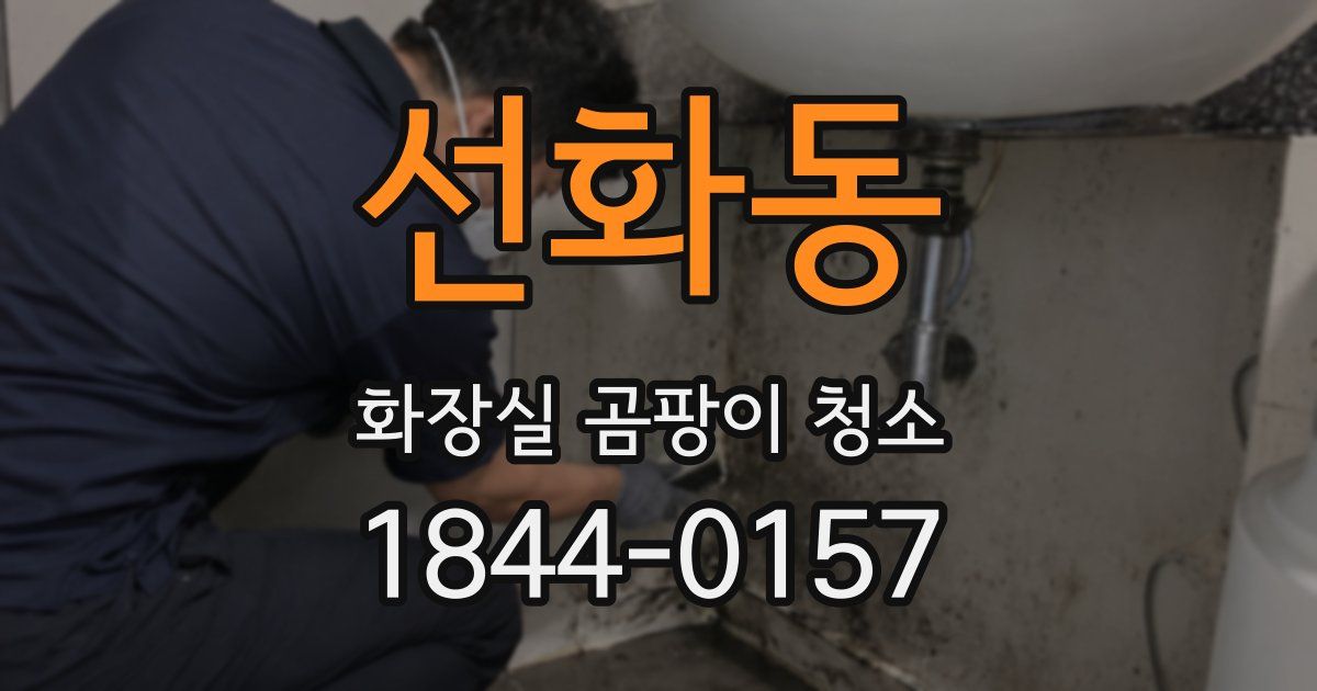 선화동 화장실 곰팡이 청소