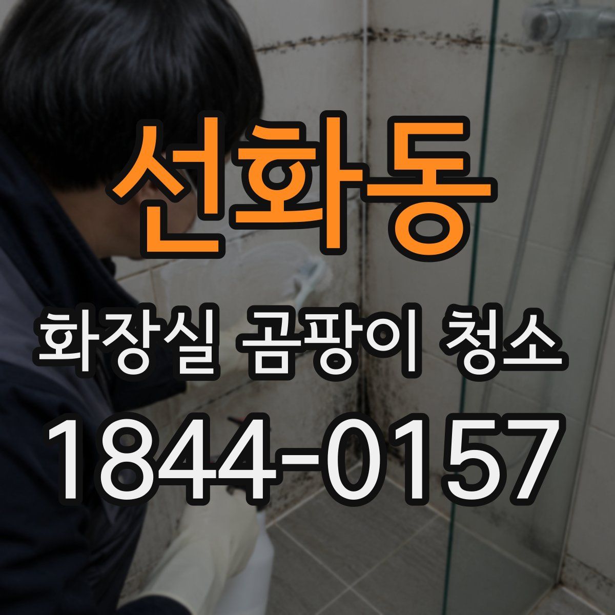 선화동 화장실 곰팡이 청소