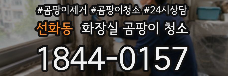 선화동 화장실 곰팡이 청소