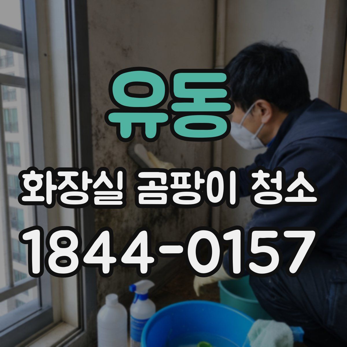 유동 화장실 곰팡이 청소