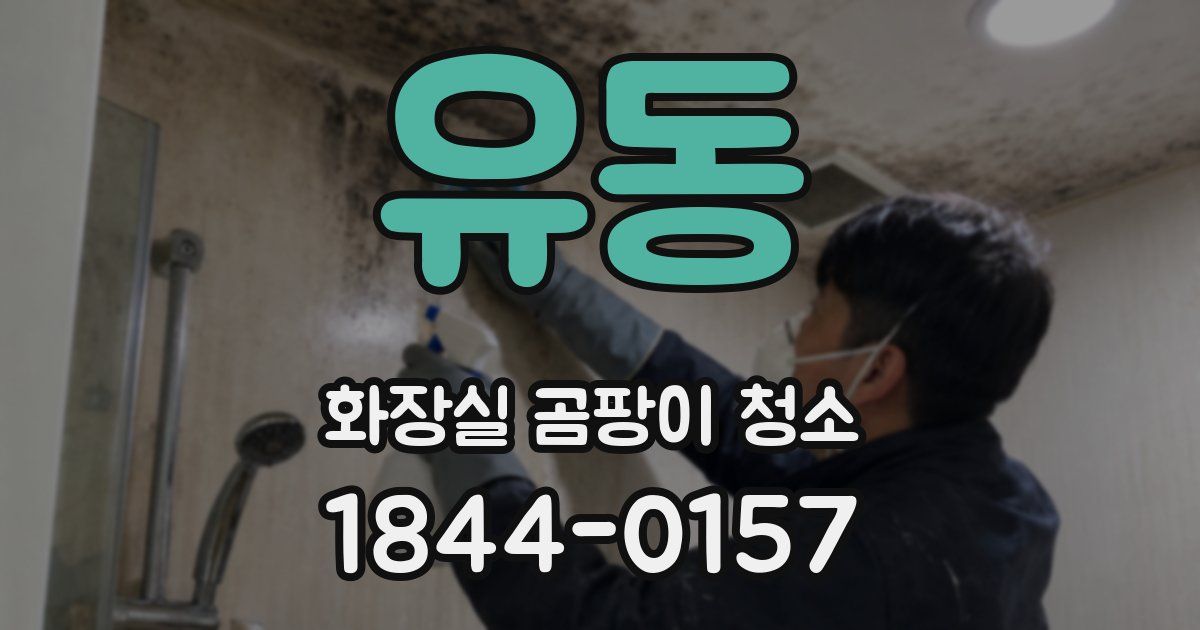 유동 화장실 곰팡이 청소
