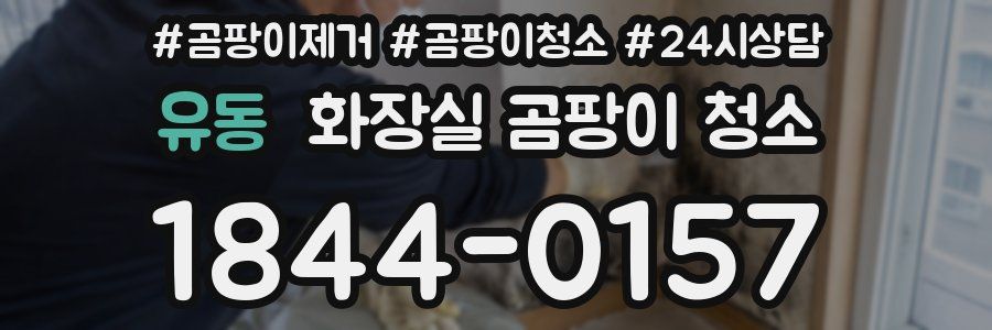 유동 화장실 곰팡이 청소